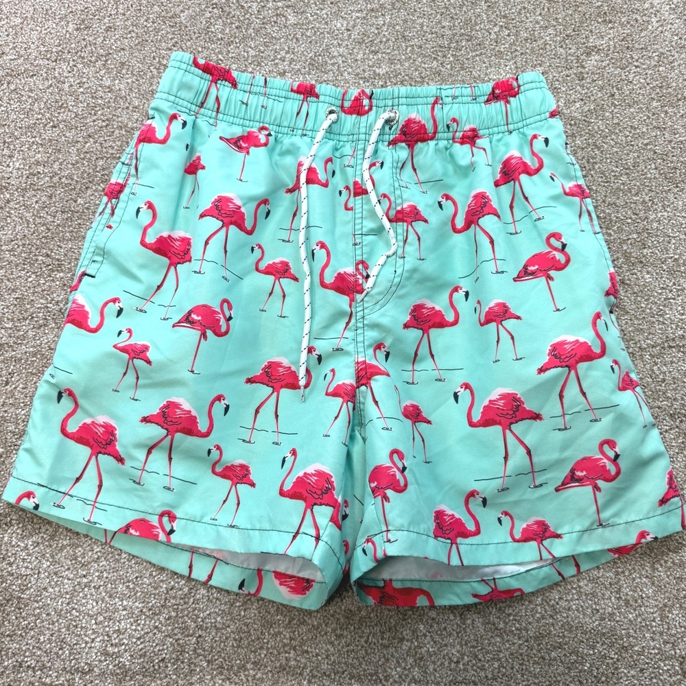 Mens Flamingo Print Swim Trunks Mint Green Pink Beach Shorts Large Tropical Pool